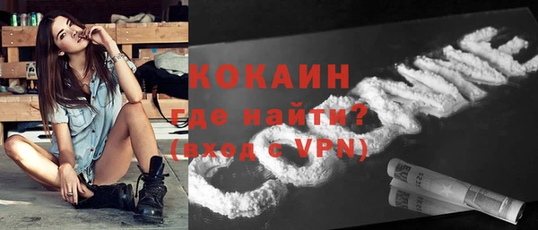 индика Баксан