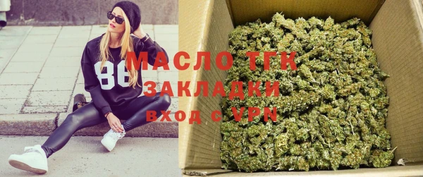 индика Баксан
