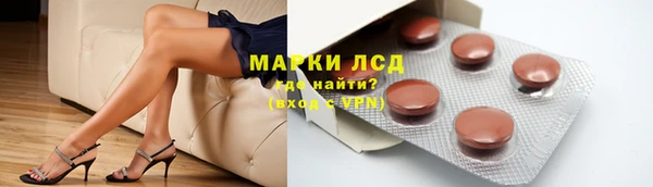 индика Баксан