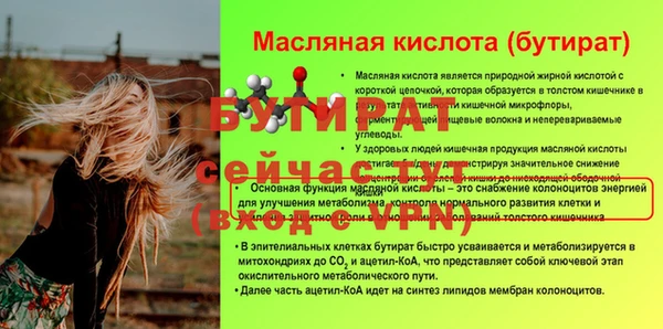 индика Баксан