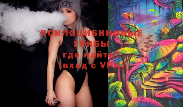 индика Баксан